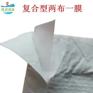 FN2/PE900g长丝复合土工膜 抗晒防渗漏工程材料 润业