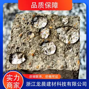 龙晨 有机硅粉末憎水剂 透气防霉砂浆添加剂的功能 耐久性好 防水性能优越