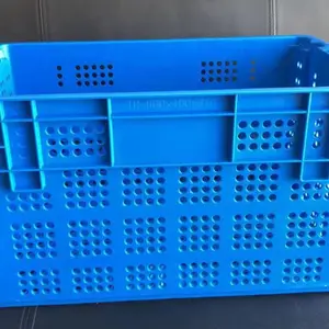 �������߲˿����Ͽ���׵��ɶѶ�