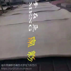 ���ɹŴ���ëձ����ʽ�ֹ�ߦ����ë�������״������������ձ�ֹ�ձ��ѧ����ձ