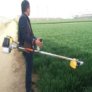 ��ؼ��ݻ� ʯ��԰�������͸�ݻ� �������ݻ�