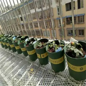 塑料平网 安平塑料平网在哪 PVC养殖网