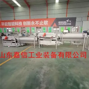 青菜涡流清洗机厂家直销-山东嘉信(图)