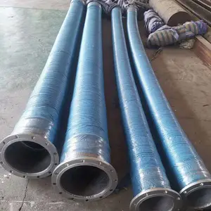 ���� �в��������� ����������� ��ھ���������