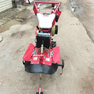 186������԰������ ҩ�İ��Ŀ����� ��ݮ�ع���¢�� �˵�ǰ��������