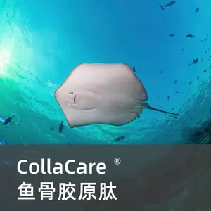 GAGs糖胺聚糖胶原蛋白肽