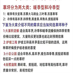 吉林辽源常青北方护坡草种单位批发披碱草草种籽