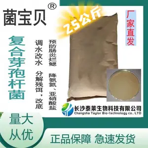 芽孢杆菌水产益生菌粉剂益生素水质调节剂水体改良改底除臭