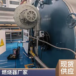 岱鼎品牌 量身设计焦炉煤气（荒煤气）烧嘴 低氮节能煤气燃烧器