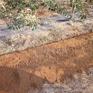 32�����๦����԰������ �Ĵ�ʽ��԰��ˮ���ڹ���