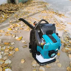 ���������·��ɨ���紵����_����·�洵����_ ���������ݶ����ﱳ��ʽ���ʹ�ѩ��