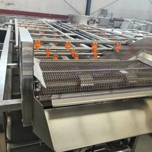 蔬菜清洗机 苦菜清洗制造线 山野菜鼓泡式果蔬清洗机