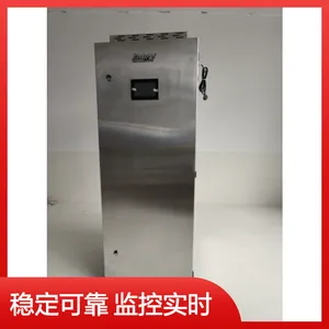 迪森食品厂锅炉 温度精准稳定 实时监控系统 高效节能