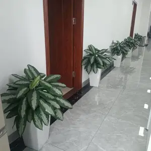 ��ֲ���� ������Ȧ�����ɹ� Ʒ�ַḻ�۸�ʵ�� Ʒ�ַḻ�۸�ʵ��