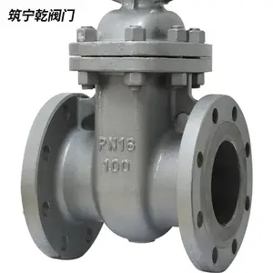 ����Ǭ ��������բ�� ̼�ַ���բ�� dn80 �ֶ�����