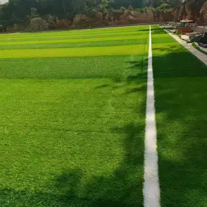 ���ڹ�����ĿΧǽ�ٲ�ƺ��װ �˶�����ƺ��װ