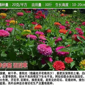 ˮ����̬�޸�������ҵÿ��50���ﵤ����������