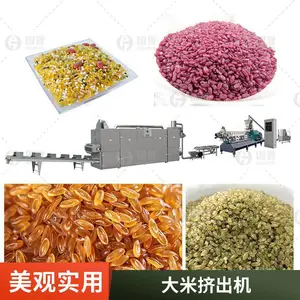 人造米生产设备 200公斤杂粮人造米制作机器 大米挤出机