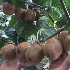 ������Ů����ó���޹�˾�����и�ˮ��⨺�����ժ�ַ���������⨺�����о5��װ���������⨺�������