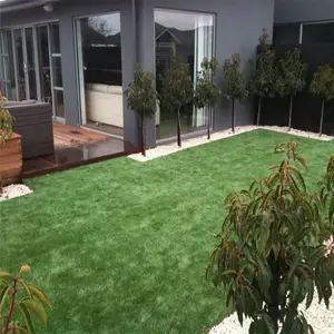 ǽ������ �����ƺ���۸� ��ɫ�̵���