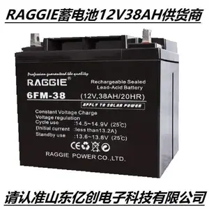 RAGGIE蓄电池6FM-38 12V38AH/20HR太阳能UPS/EPS直流屏配套