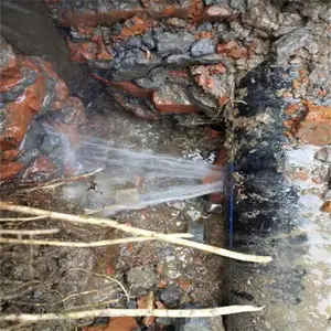 苏州相城区地下管道漏水检测 消防管道漏水检测 供水管网漏水检测