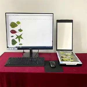 ҶƬͼ������ǣ��������ԣ� �ͺ�:G23-FS-leaf1000��ţ�M361016