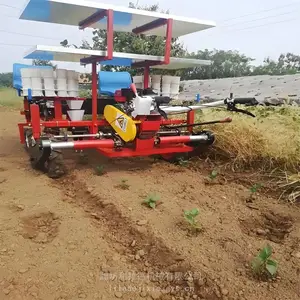 ��ֲ�������Ĳ˻ƹϺ��ܲ���е��߲����Ի�.������.����ʽ�߲����Ի�