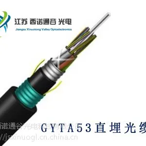 地埋光缆 直埋光缆型号 GYTA53-24B1