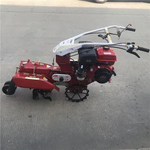�������ֲ����ʩ�ʿ����� С�ʹ��ｪ�ؿ���������