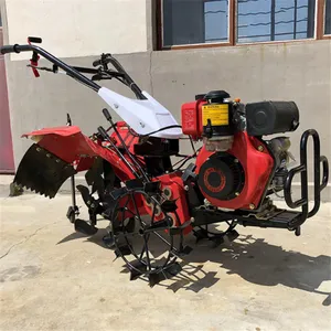 11�������ͻ������� ������ �����ȶ� 186������ʽ������ ���