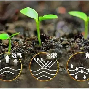 花生专用生物有机肥，冲锋将菌生物有机肥