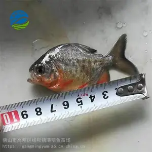 ���۵�ˮ���������� ¦������ˮ�ּ��������������� ����������
