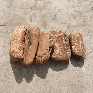 ���ؾ�������ľƤ װ������������͸�� ���ŷ�����