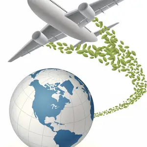 日本空运包税咨询启利物流多年行业经验