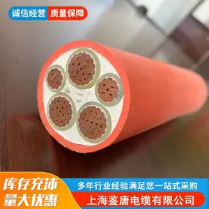 �����ʷ������NG-A BTLY BBTRZ BTTRZ BTTZ6 10 16 25 35ƽ��