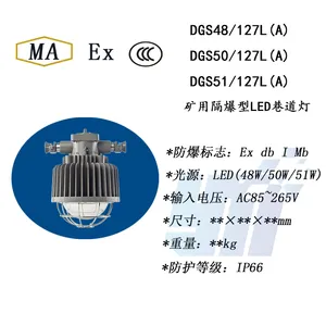 DGS45/127L(A)矿用隔爆型LED巷道灯