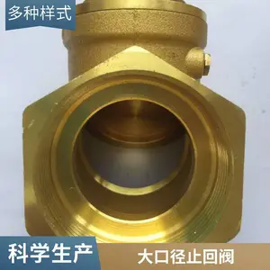 ��ʽ����ֹ�ط� �����304 �糧��ˮϵͳר�� ȫֹͭ�ط�
