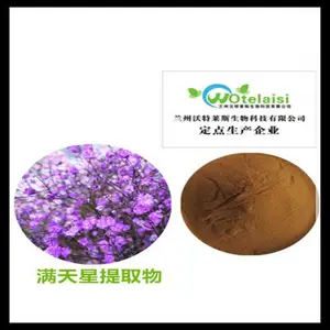 满天星提取物 丝石竹提取物 六月雪原粉 圆锥石头花浸膏