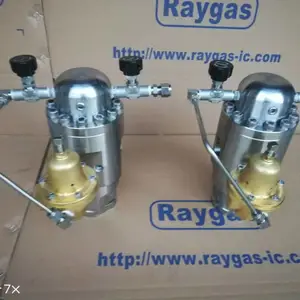 调压器 减压阀 法国瑞盖斯RAYGAS 高压燃气调压阀 304材质