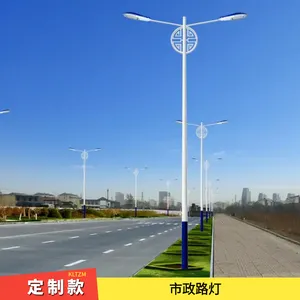 呼伦贝尔市政照明路灯 单臂/双臂造型可选 灯具功率按需定制