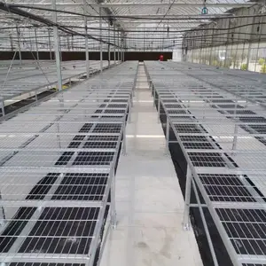 移动苗床源头工厂 规模化产能 工程大单可按时交付
