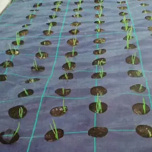 农业实验用防草布-抗老化 透水 保墒防草