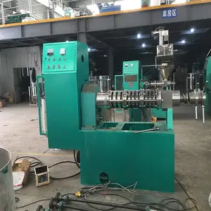 小型炸油机 2020新款大豆油葵芝麻榨油机 全自动榨油设备 真空过滤