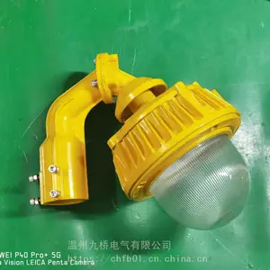 ��֯��LED���������� 50W100WLED�������˵� ������װ