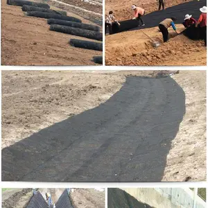 可加工定制柔性生态水土保护毯 河道护坡三维水土保护毯