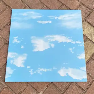 ���ɵ������۰�600X600ƽ��������Ƹ�Ĥ�幤�̲��Ϸ�ɽ����ֱ��