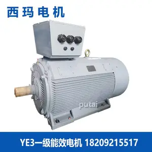 ����YE3 4502-4 660V ��ѹ����Բ ��Ч�����첽��Ƶ800KW�綯�� ˮ��