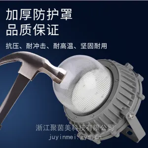 ��Ϊ��LED�ڵ� 60W ���ܿ����������� ��ѣ��