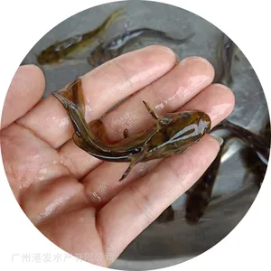 �۷����糡 �������ۻ�������� �ƹ��� ������ �߲������ܶ� ���ɻ�